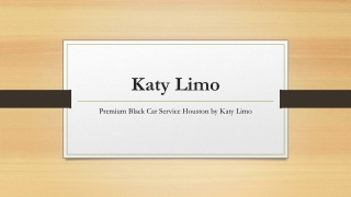 Premium Black Car Service Houston by Katy Limo