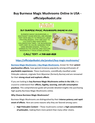 Buy Burmese Magic Mushrooms Online in USA - officialpolkadot.site