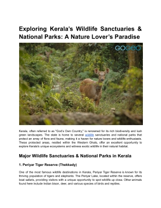 Exploring Kerala’s Wildlife Sanctuaries & National Parks_ A Nature Lover’s Paradise