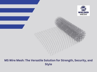 MS Wire Mesh: The Versatile Solution for Strength, Security, and Style