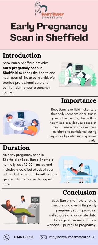 Early Pregnancy Scan in Sheffield