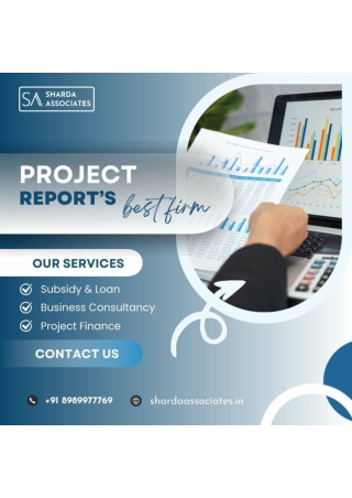 project report for bank loan