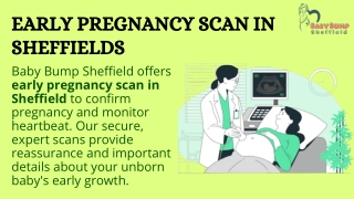 Early Pregnancy Scan in Sheffield