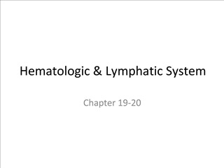 Hematologic Lymphatic System