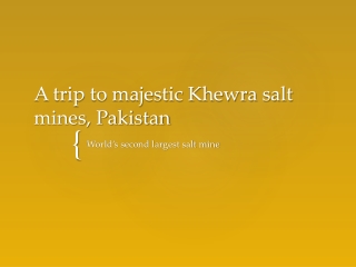 A trip to majestic Khewra salt mines