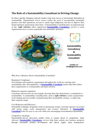 The Role of a Sustainability Consultant in Driving Change