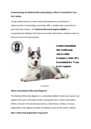 Understanding the National Microchip Registry Why It’s Essential for Your Pet’s Safety
