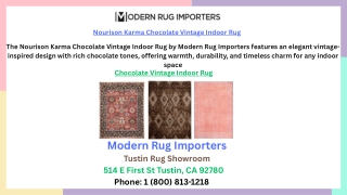 Nourison Karma Chocolate Vintage Indoor Rug
