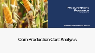 Corn Production Cost Analysis Reports