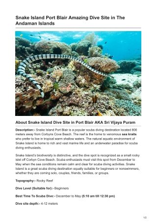 Explore Fabulous Snake Island Dive Site in Port Blair