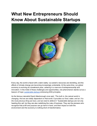 What New Entrepreneurs Should Know About Sustainable Startups