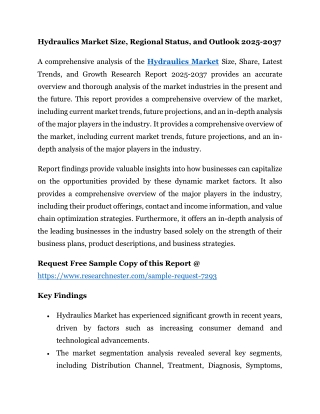 Hydraulics Market