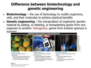 Difference between biotechnology and genetic engineering