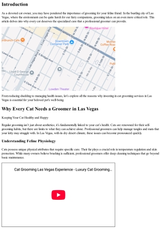 Why Every Cat Needs a Groomer in Las Vegas