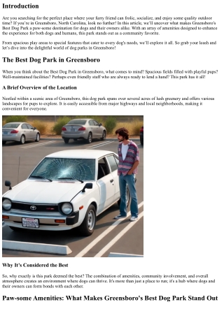 Paw-some Amenities: What Makes Greensboro's Best Dog Park Stand Out
