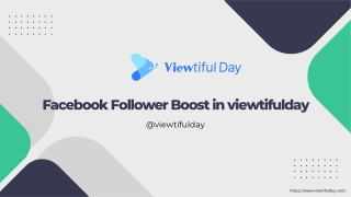 Facebook Follower Boost in viewtifulday