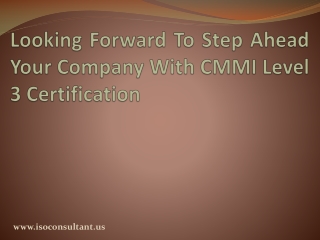 CMMI level 3 Documentation for CMMI Maturity Models