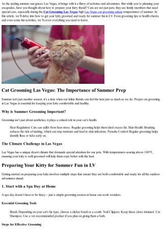 Groomed and Ready! Preparing Your Kitty for Summer Fun in LV