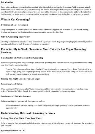 From Scruffy to Sleek: Transform Your Cat with Las Vegas Grooming Services
