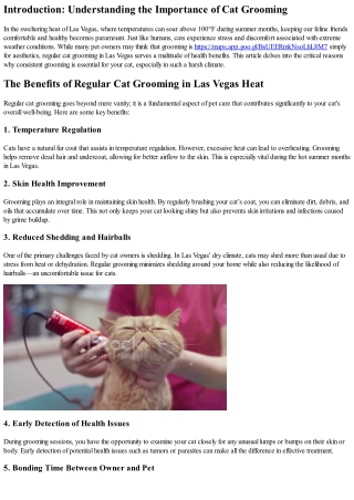 The Benefits of Regular Cat Grooming in Las Vegas Heat