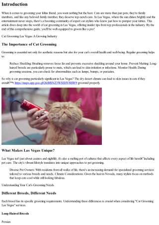 Groom Like a Pro: Insider Tips from Top Las Vegas Cat Stylists