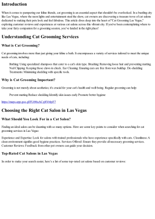Groomed to Purrfection: Customer Reviews of Las Vegas Cat Salons