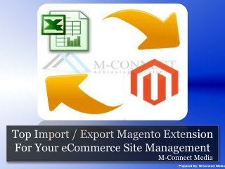 Best Functional Import / Export Magento Extension For Your S