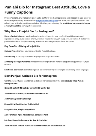 Punjabi Bio for Instagram