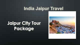 Jaipur City Tour Package (4)