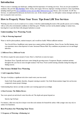 How to Properly Water Your Trees: Tips from LJR Tree Services