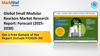 Small Modular Reactors Market Strategic Insights into Key Players 2025 to 2030