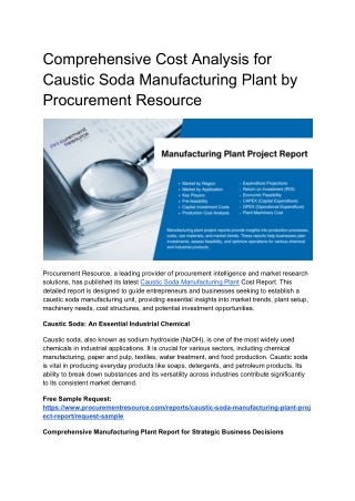 Comprehensive Cost Analysis for Caustic Soda Manufacturing Plant by Procurement Resource