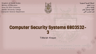 Computer Security Systems 6803532-3