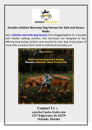 Durable Lifetime Warranty Dog Harness for Safe and Secure Walks