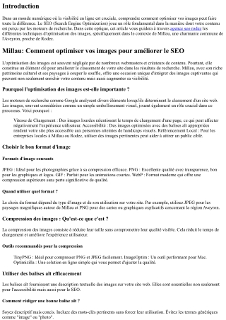 “Millau: Comment optimiser vos images pour améliorer le SEO”