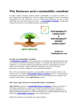 Why Businesses need a sustainability consultant