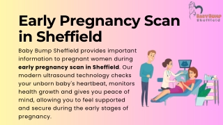 Early Pregnancy Scan in Sheffield