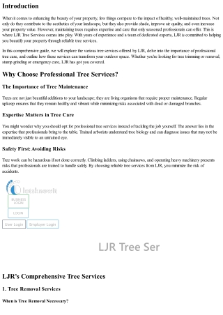 Beautify Your Property with Reliable Tree Services from LJR