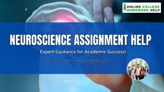 Neuroscience Assignment Help Guide – Master Complex Concepts with Ease!
