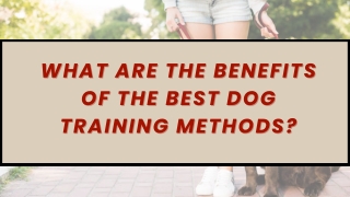 Practical Canine Guidance for a Better Bond