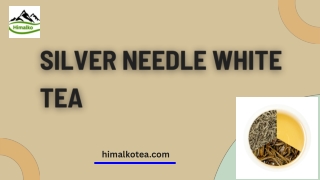The Health and Elegance of Silver Needle White Tea