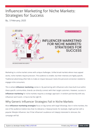 Influencer Marketing for Niche Markets Strategies for Success