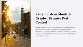 Exterminateur Moufette Granby