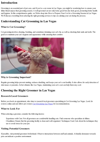 How to Prepare Your Cat for a Grooming Session in Las Vegas