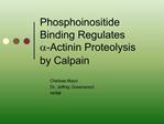Phosphoinositide Binding Regulates a-Actinin Proteolysis by Calpain
