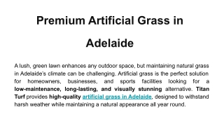 Premium Artificial Grass in Adelaide