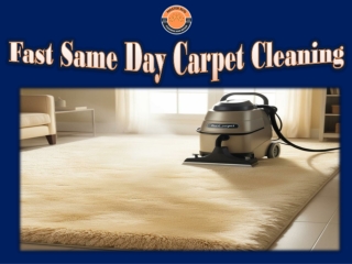 Fast Same Day Carpet Cleaning
