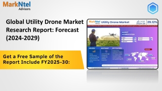 Utility Drone Market Insights, Share & Growth Trends 2024 to 2029