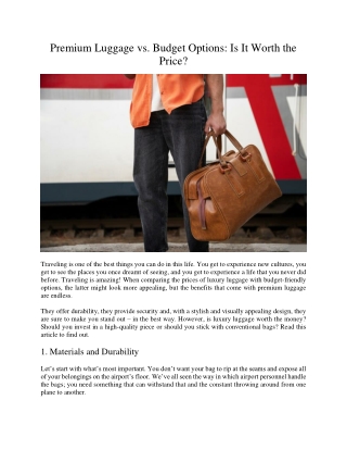 Premium Luggage vs Budget Options Is It Worth the Price