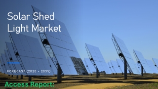 Solar Shed Light Market
